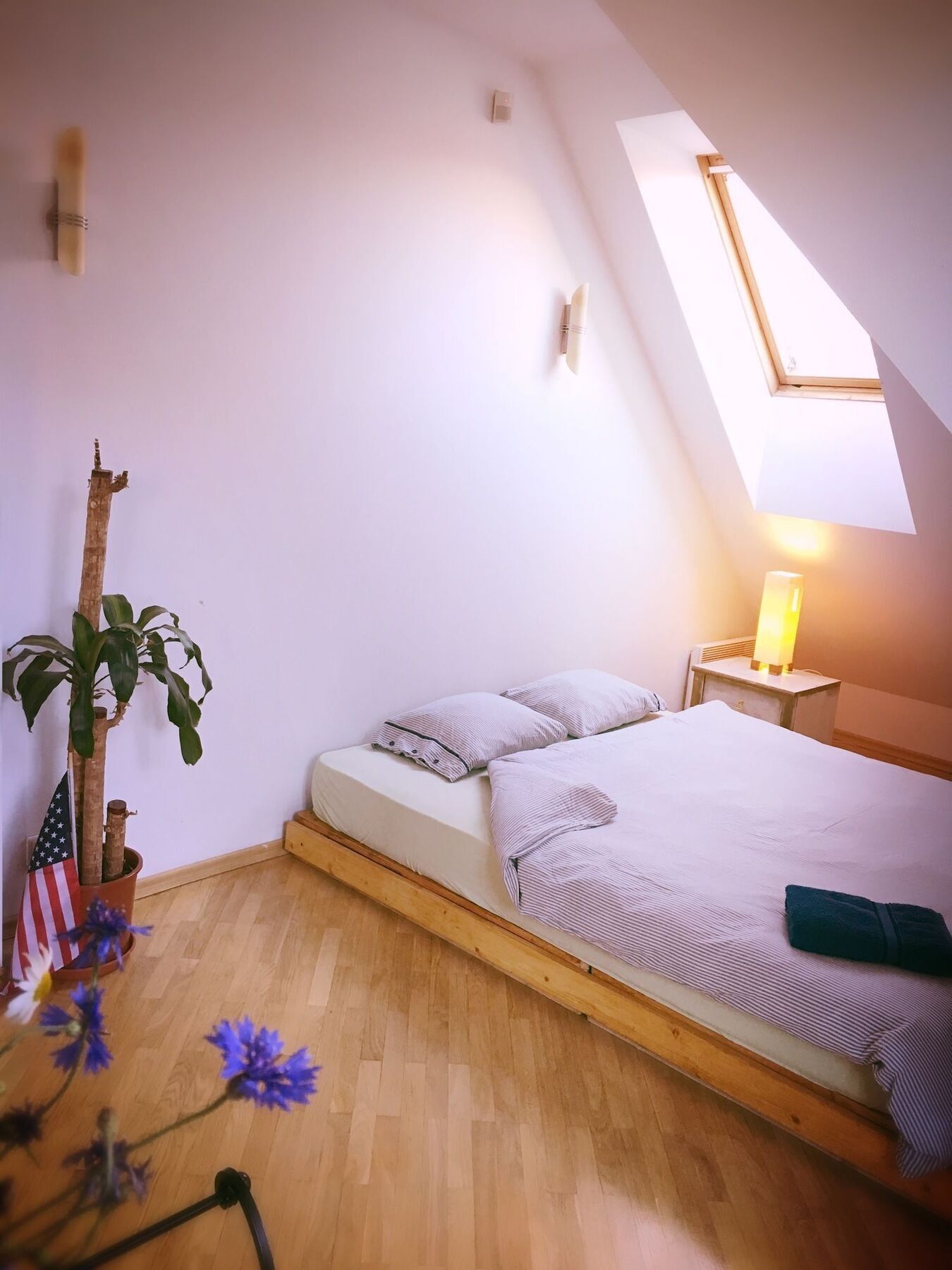 Jimmy Jumps House Hostel Vilnius Ngoại thất bức ảnh